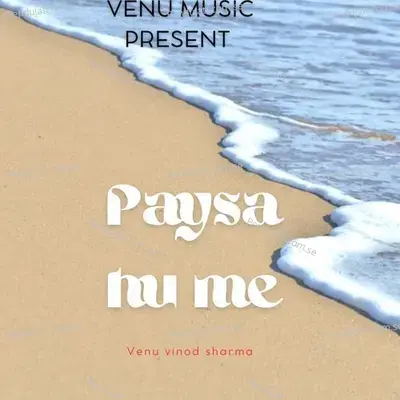 Paysa Hu Me - VENU vinod sharma album cover 