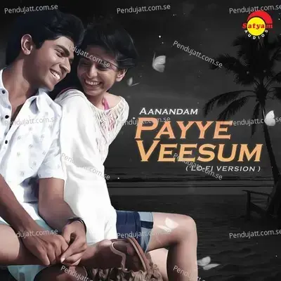 Payye Veesum - Chris Wayne album cover 