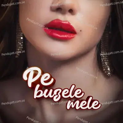 Pe Buzele Mele - Otilia album cover 