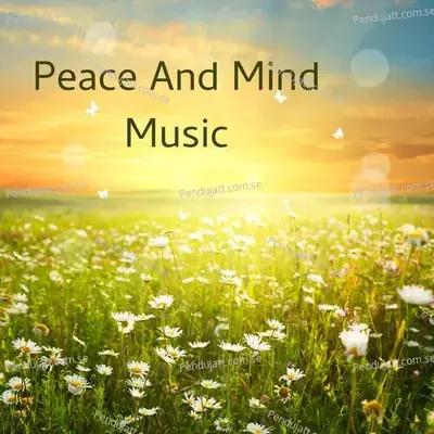 Peace And Mind Music - Lakhan Hire album cover 