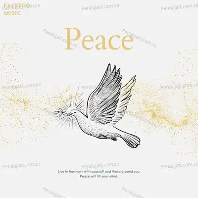 Peace - Facetoo Music album cover 