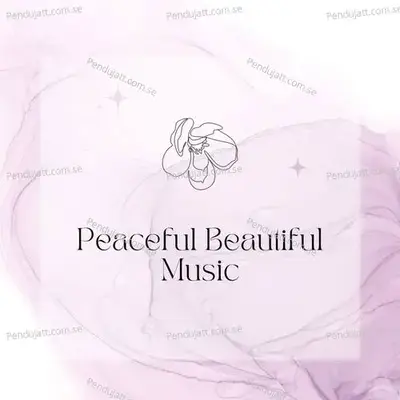 Peaceful Beautiful Music - Lakhan Hire album cover 