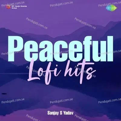 In Panchhiyon - Lofi - Sanjay S Yadav album cover 