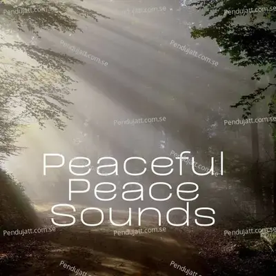 Peaceful Peace Sounds - Lakhan Hire album cover 