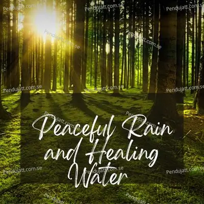 Peaceful Rain And Healing Water Sounds For Meditation  Tai Chi  Reiki   Spa - Rushabh Khasnis album cover 