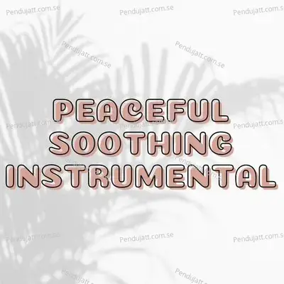 Peaceful Soothing Instrumental - Lakhan Hire album cover 
