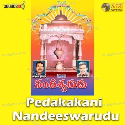 Nayyemallesa Devamallesa - Akunuri Devayya album cover 