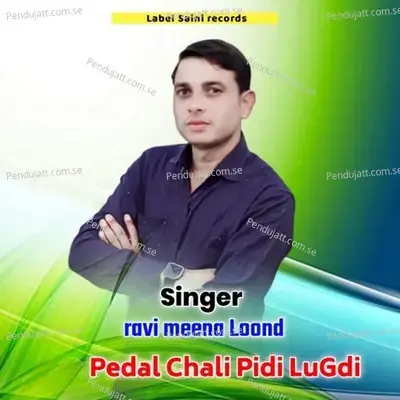 Pedal Chali Pidi Lugdi - ravi meena Loond