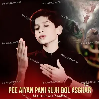 Pee Aiyan Pani Kujh Bol Asghar A s - Master Ali Zamin album cover 