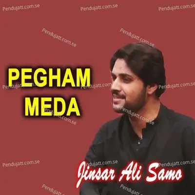 Pegham Meda - Jinsar Ali Samo album cover 