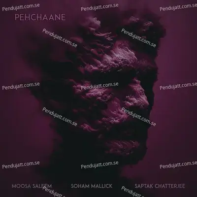 Pehchanne - Saptak Chatterjee album cover 