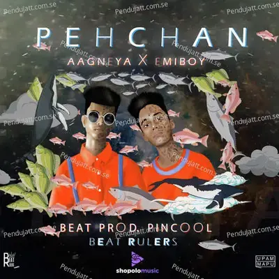 Pehchan - Aagneya album cover 