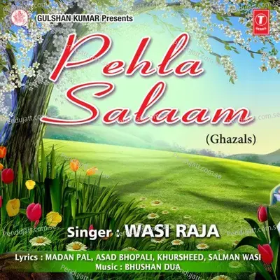 Hum Dekhte Hi Reh Gaye - Wasi Raja album cover 