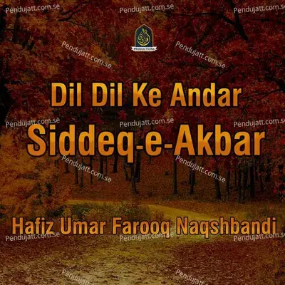 Pehlay Khalifa Siddiq E Akbar - Hafiz Umar Farooq Naqshbandi album cover 
