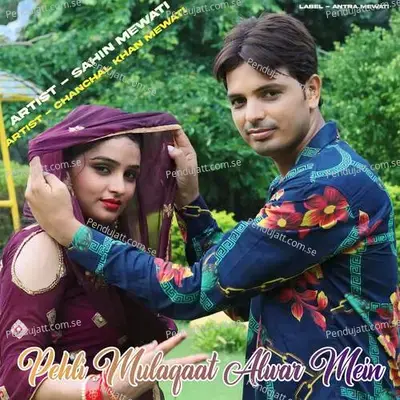 Pehli Mulaqaat Alwar Mein - Sahin Mewati album cover 