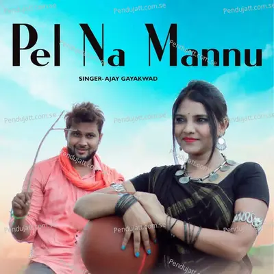 Pel Na Mannu - Ajay Gaikwad album cover 