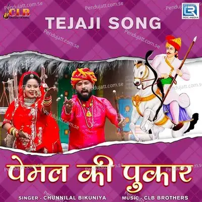 Pemal Ki Pukar - Chunnilal Bikuniya album cover 