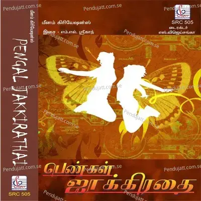 Parisam Potta - M.L. Srikanth album cover 