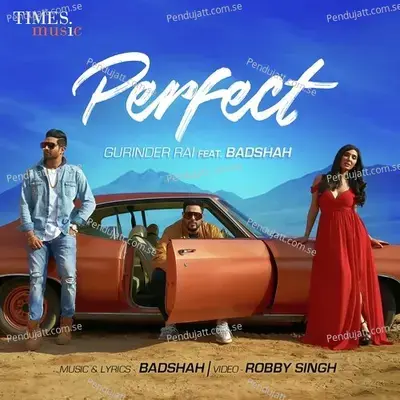 Perfect - Gurinder Rai album cover 