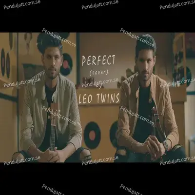 Perfect - Leo Twins album cover 