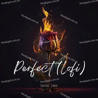 Perfect  Lofi  - Swapnil Tiwari