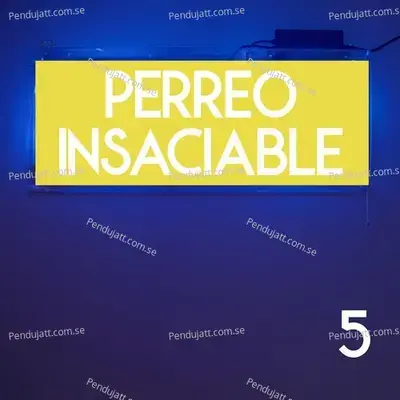 Perreo Insaciable Vol. 5 - Various Artists cover album