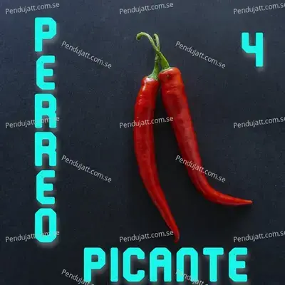 Perreo Picante Vol. 4 - Various Artists