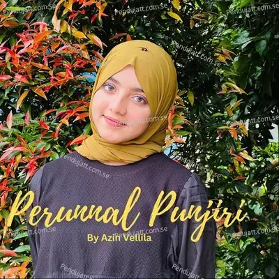 Perunnal Punjiri - Azin Vellila album cover