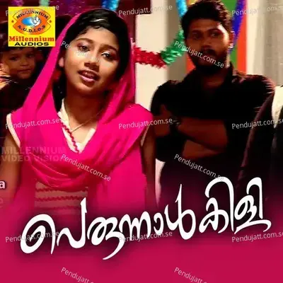 Nale Veluthal - Gafoor album cover 