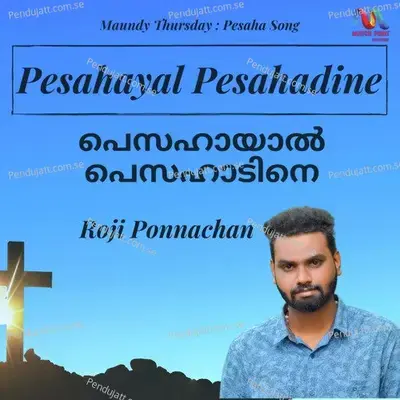 Pesahayal Pesahadine - Roji Ponnachan album cover 