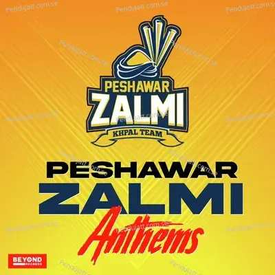 Hum Zalmi - Call album cover 