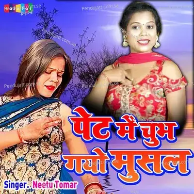 Pet Me Chubh Gayo Musal - Neetu Tomar album cover 