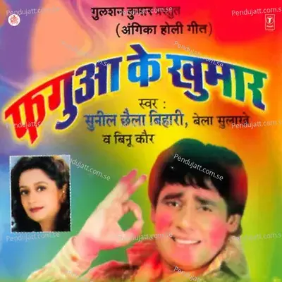 Bhouji Anganwadi Wali - Sunil Chhaila Bihari album cover 