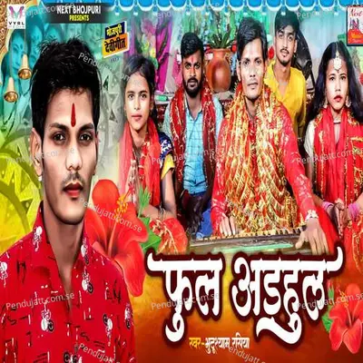 Phool Adhul - Bhutu Shyam Rasiya album cover 