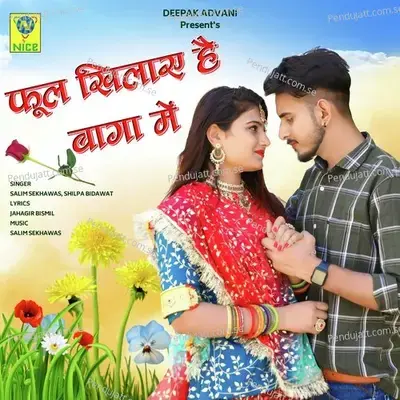 Phool Khilya Hai Baga Main - Salim Shekhawas