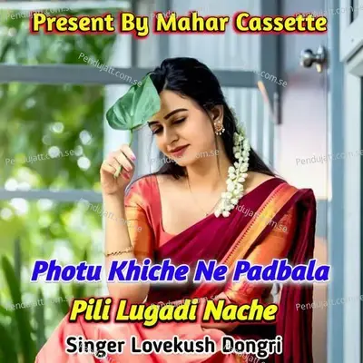 Photu Khiche Ne Padbala Pili Lugadi Nache - Lovekush Dungri album cover 