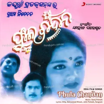 Na Prajapati Na Bana Pakhi - Alka Yagnik album cover 