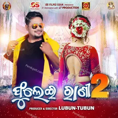 Phulei Rani 2 - Humane Sagar album cover 