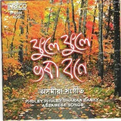 O Bandhu Jaga - Nikhilesh Barua album cover 