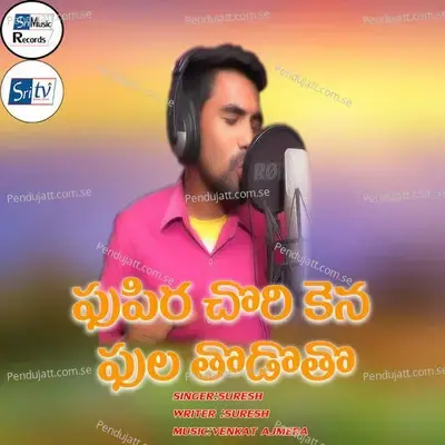 Phupira Chori Kena Phula Todoto - Suresh album cover 