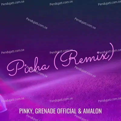 Picha (Remix) - Pinky