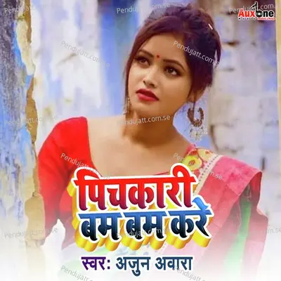 Pichakari Bam Bam Kare - Anuj Awara album cover 