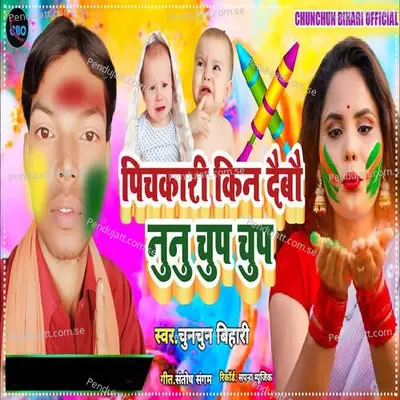 Pichakari Kin Debo Nunu Chup Chup - Chunchun Bihari album cover 