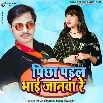 Pichha Padal Bhai Janawa Re - Rohan Singh album cover 