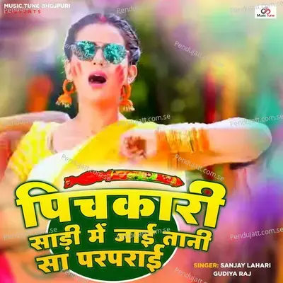 Pichkari Sadi Me Jai Tani Sa Parparai - Sanjay Lahri album cover 