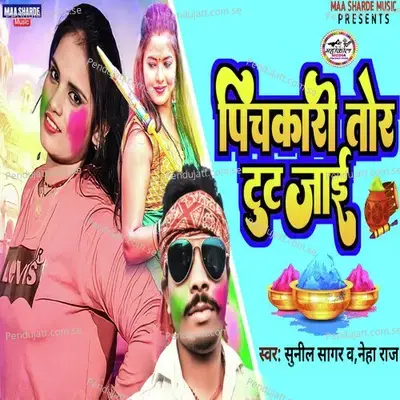 Pichkari Tor Tut Jai - Sunil Sagar album cover 