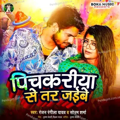 Pichkariya Se Tar Jaibe - Ranjan Rangila Yadav album cover 