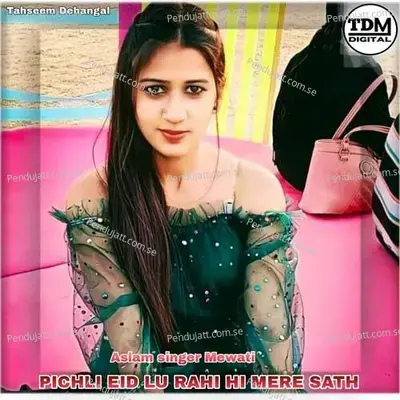 Pichli Eid Lu Rahi Hi Mere Sath - Aslam Singer Mewati album cover 