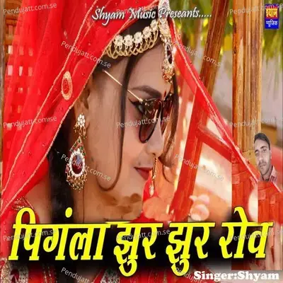 Pignla Jhur Jhur Rov - Shyam album cover 