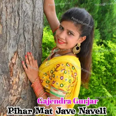 Pihar Mat Jave Naveli - Gajendra Gurjar album cover 